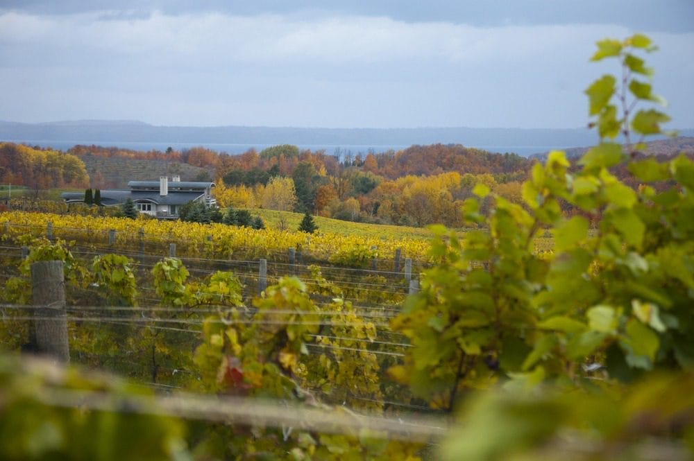 Michigan fall colors on the Leelanau Peninsula while enjoying the best Traverse City wine tours and the top wineries in Traverse City