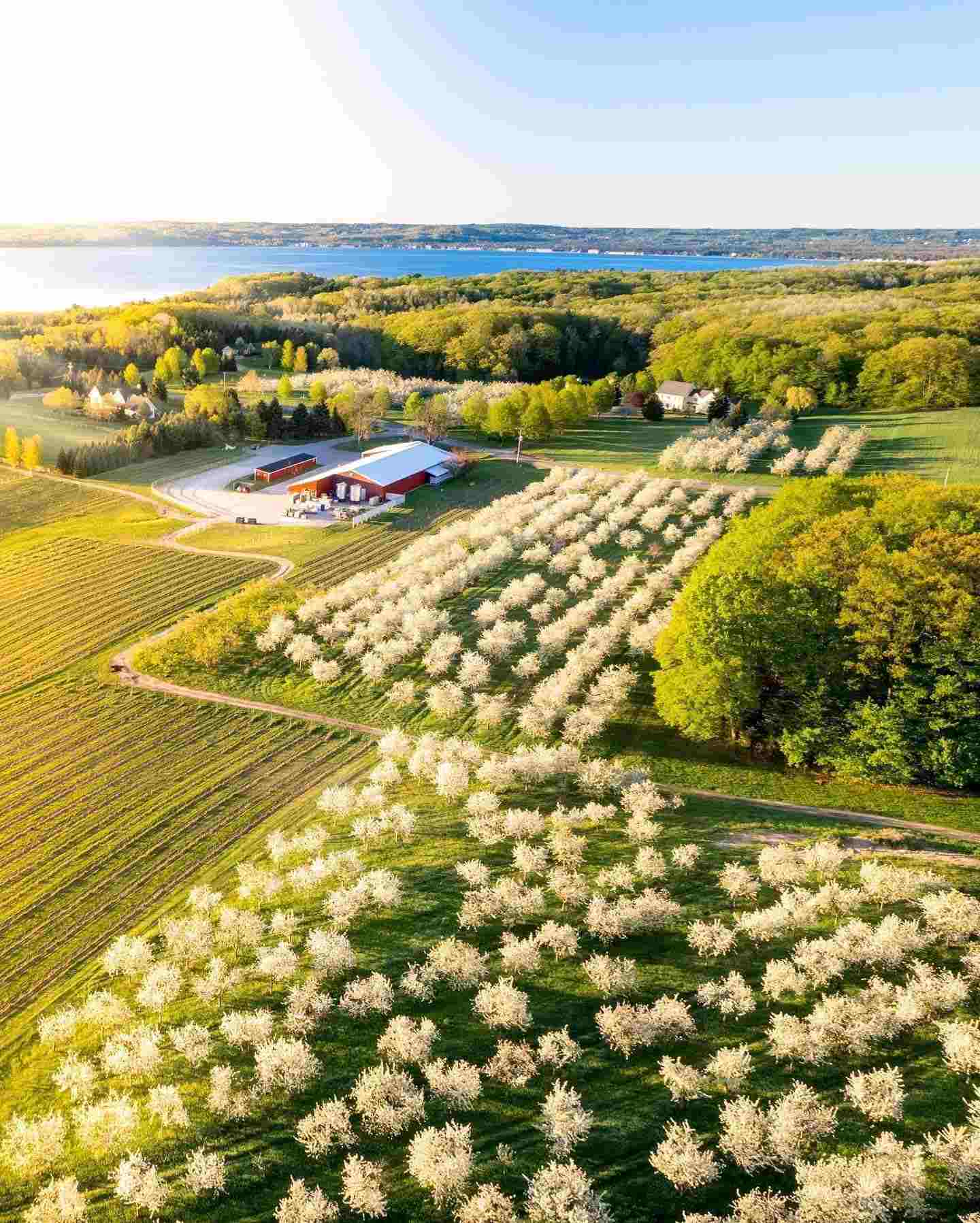 Wine Tasting Rooms 3