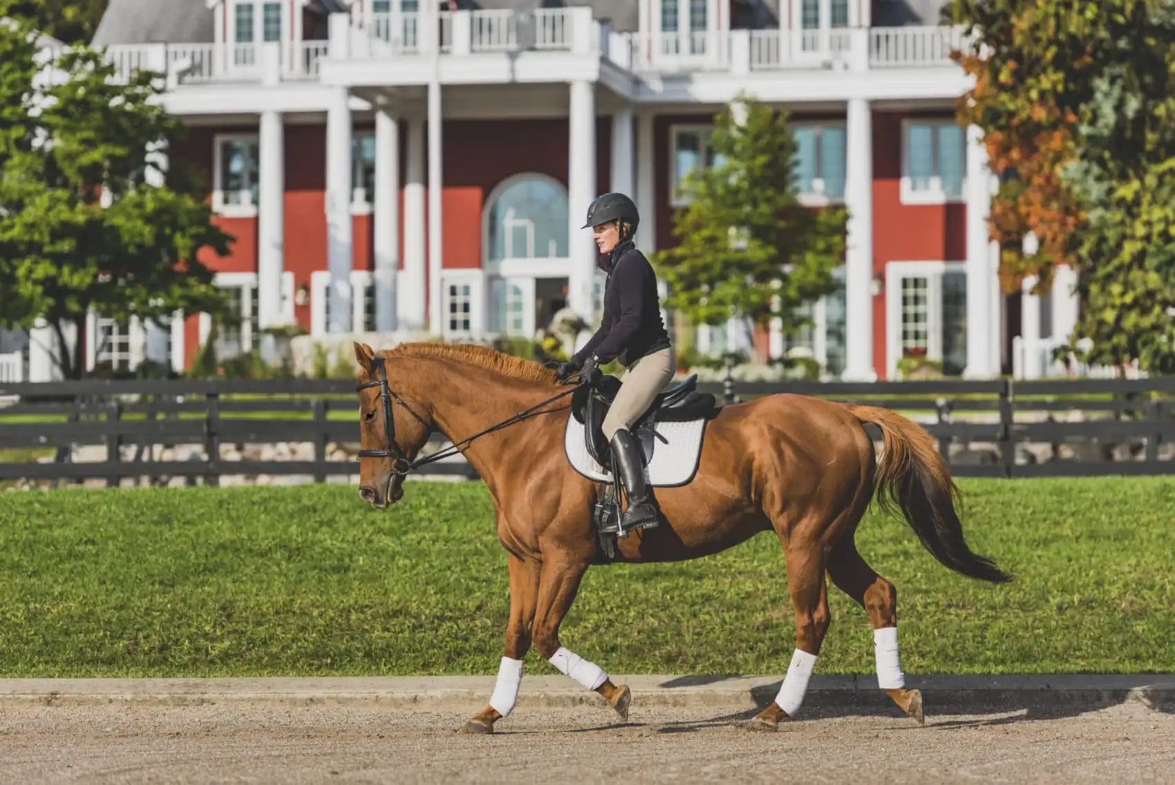 The Inn at Black Star Farms