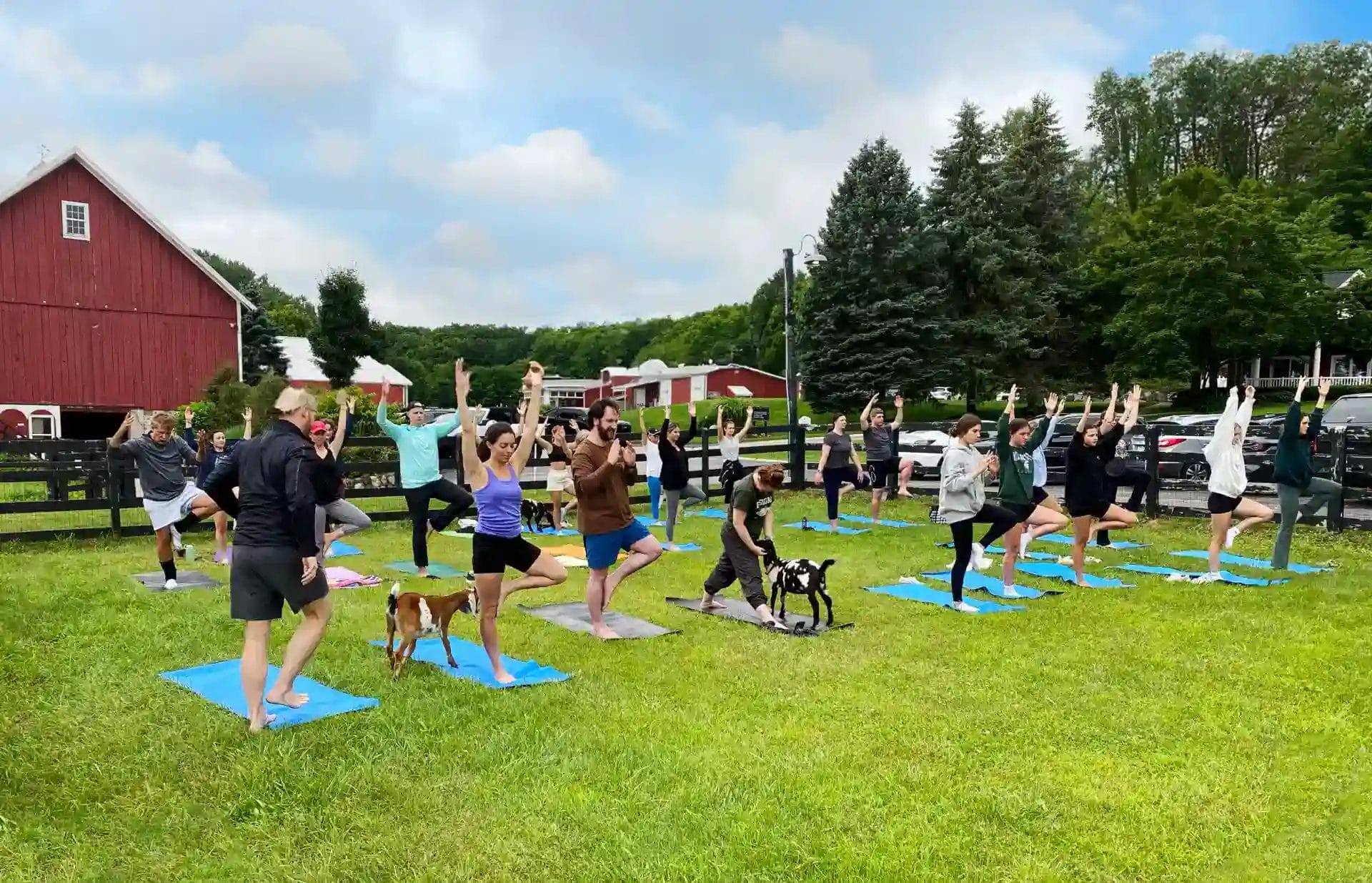 Welcome 5 Private wine dinner event