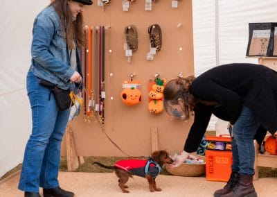 Fall Fido Fest 4