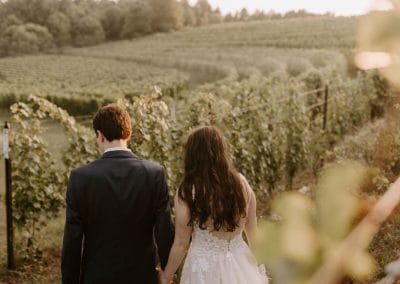 Golden Hour in the Vines
