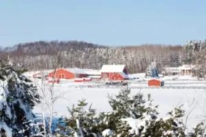 Beautiful red barn adorned with white chairs and flowers.