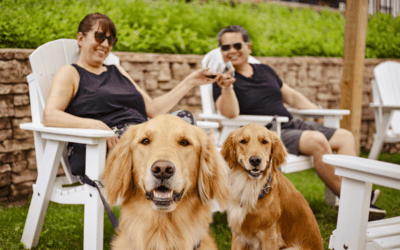 Where Can I Take My Dog in Traverse City? Dog-Friendly Guide
